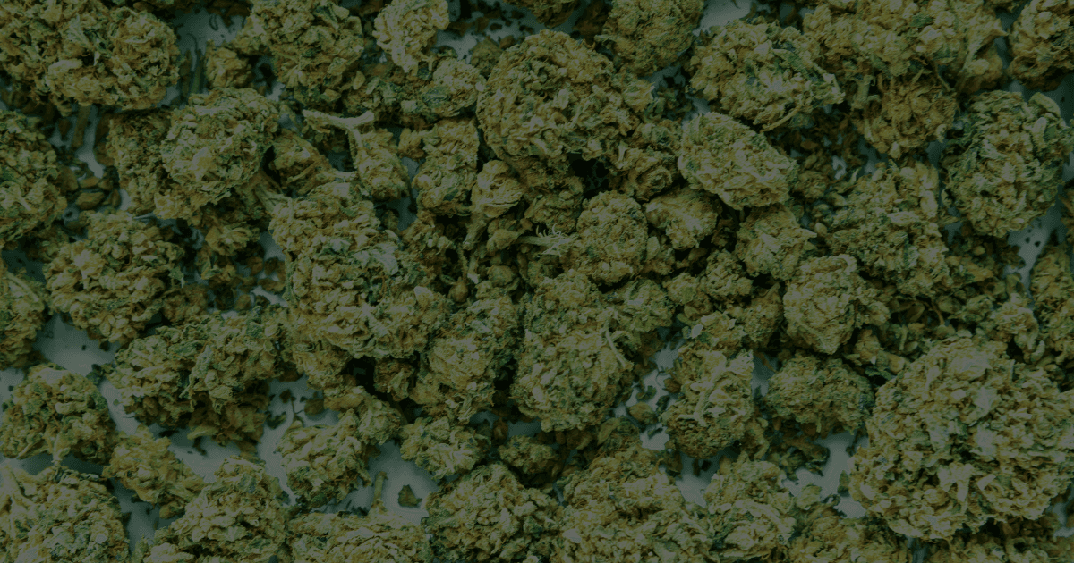Cannabis background pattern