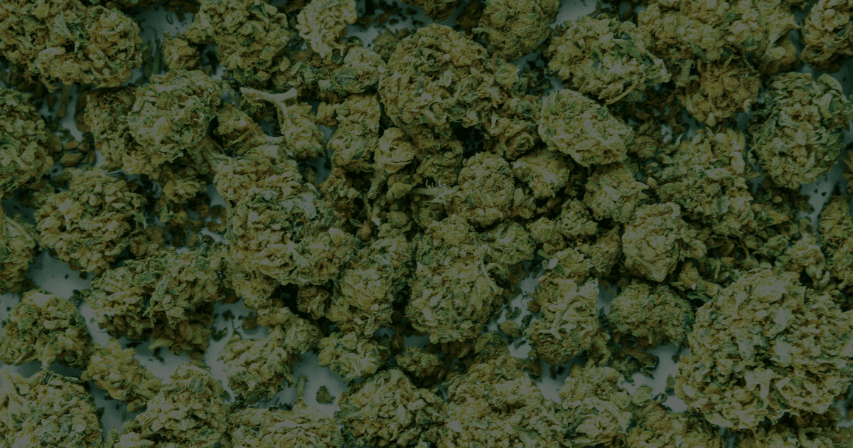Cannabis background pattern