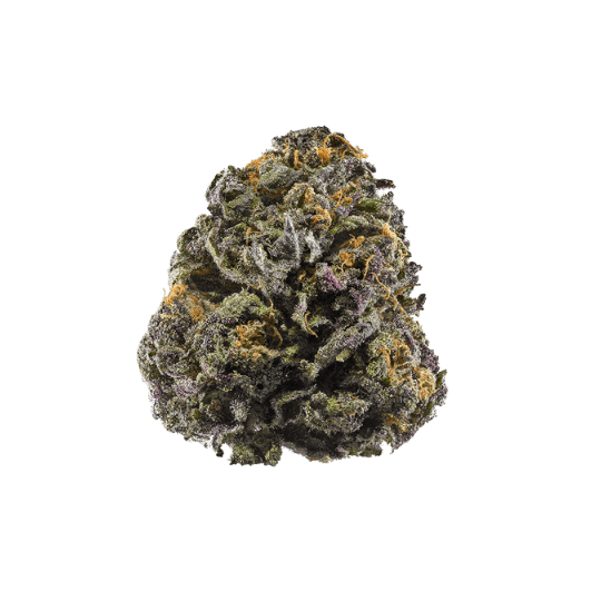Black Gelato - Coming Soon