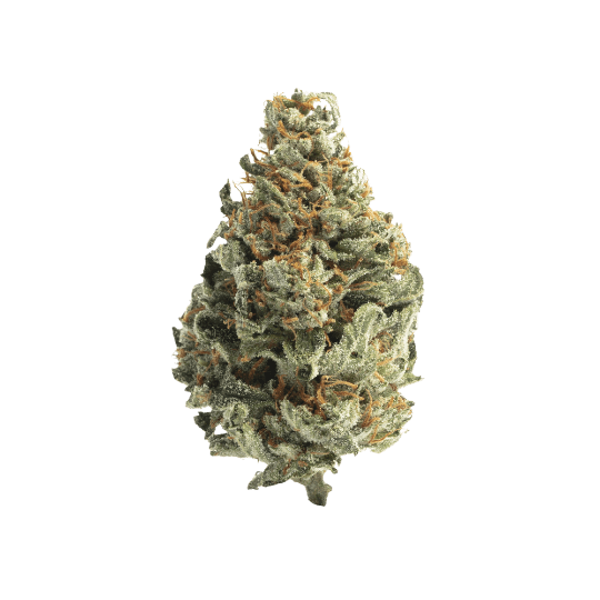 Gorilla Cookies - Premium cannabis available for delivery in NYC