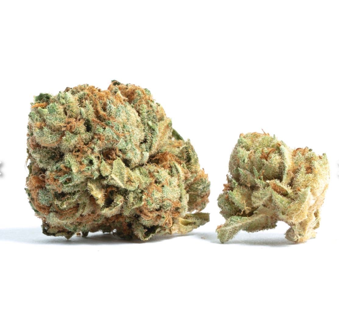 Cherry Garcia - Premium Sativa Cannabis for NYC Delivery