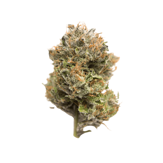 Gobbstopper - Premium Sativa Cannabis for NYC & NJ Delivery