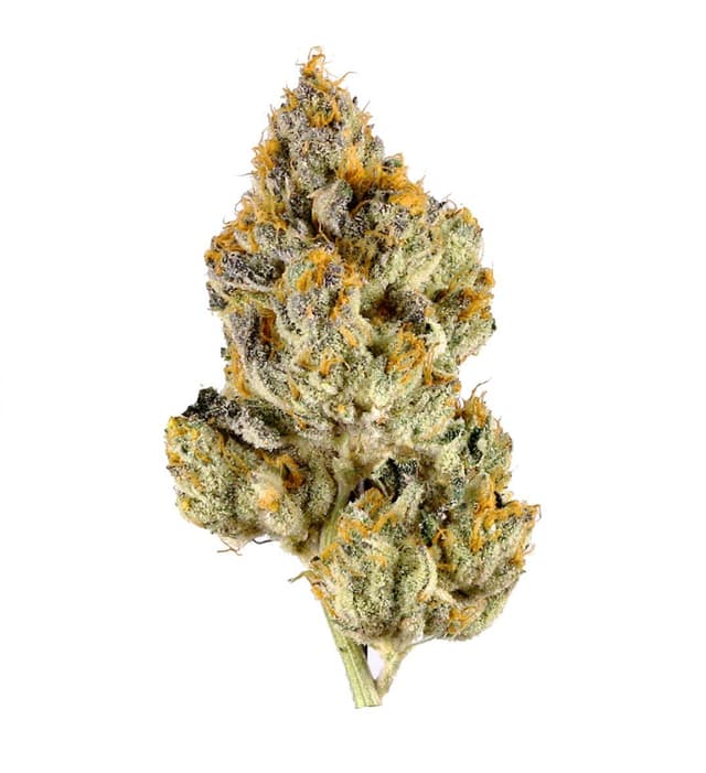 Lemon Cherry Gelato - Premium cannabis available for delivery in NYC