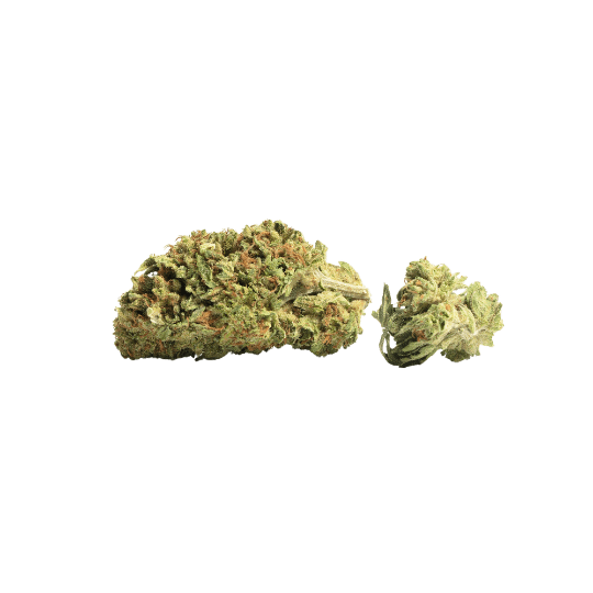 Black Runtz - Premium Hybrid Cannabis for NYC Delivery