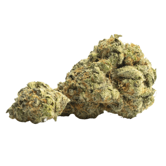 Baccio - Premium Hybrid Cannabis for NYC Delivery