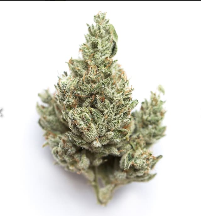 Mystery Runtz - Premium cannabis available for delivery in NYC