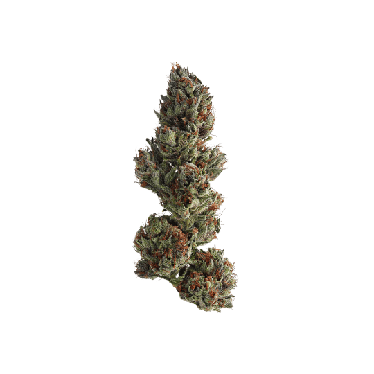 Lebron James Runtz - Premium Sativa Cannabis for NYC & NJ Delivery