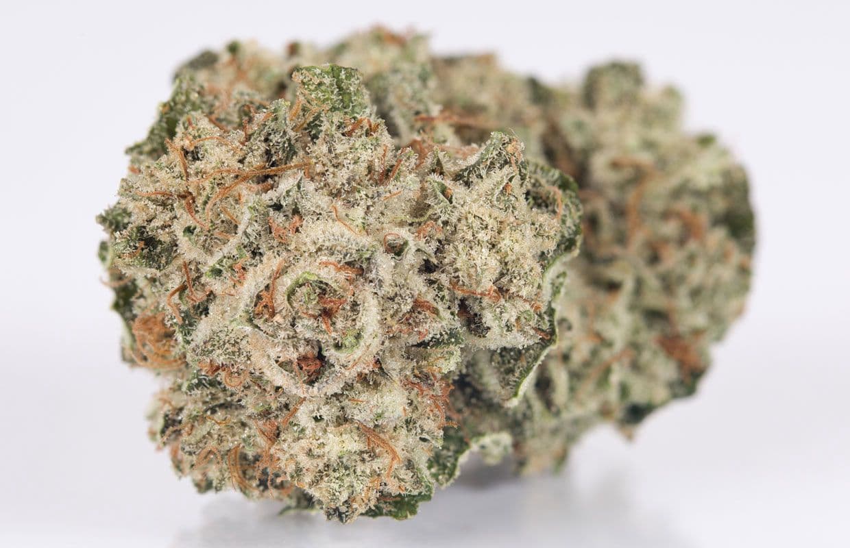 Gorilla Glue - Premium Indica Cannabis for NYC Delivery