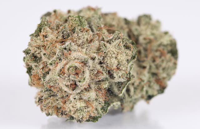 Gorilla Glue - Premium cannabis available for delivery in NYC