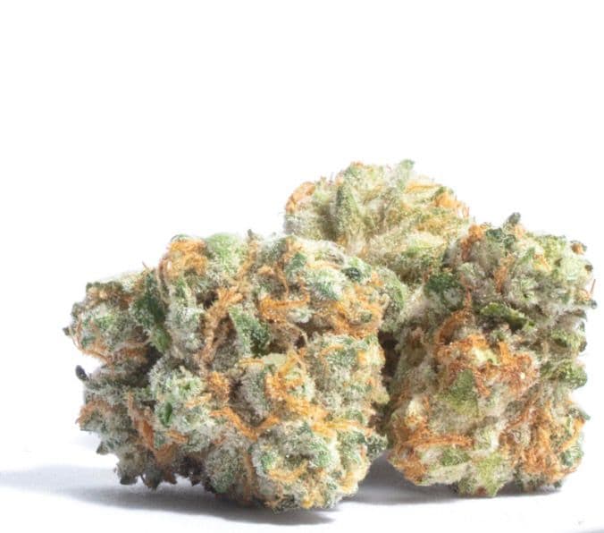 Tamales - Premium Sativa Cannabis for NYC Delivery