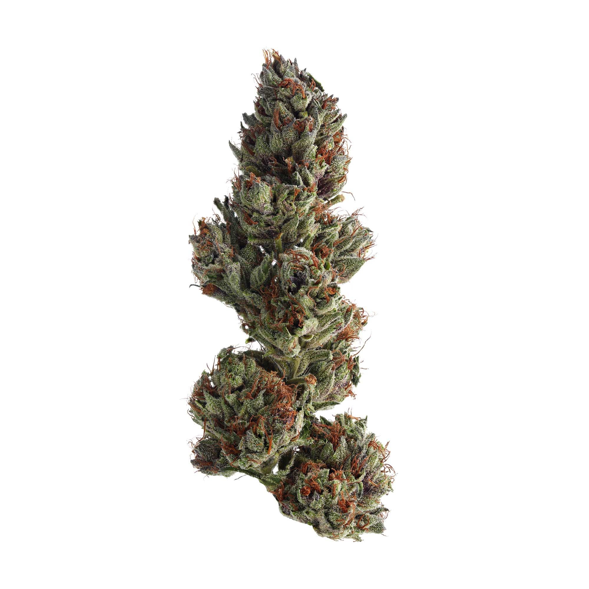 Royal Runtz - Premium cannabis available for delivery in NYC