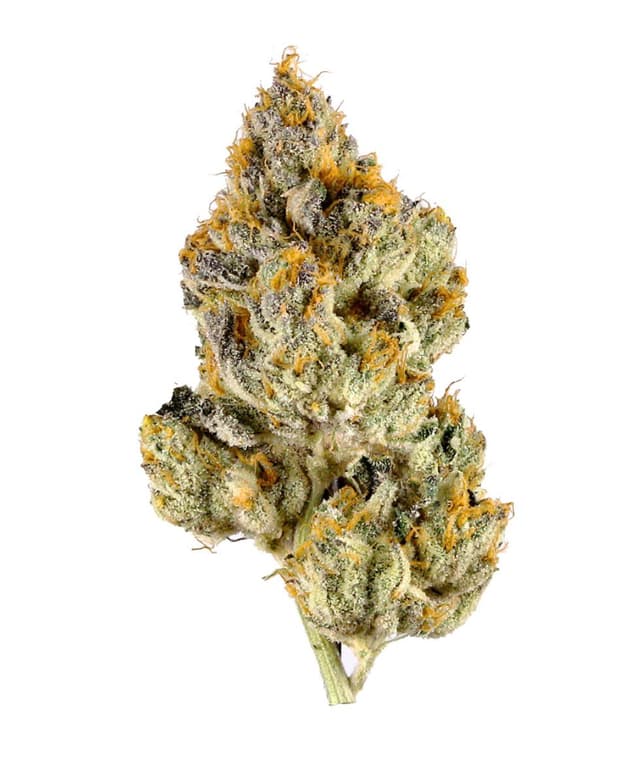 T2 - Premium cannabis available for delivery in NYC