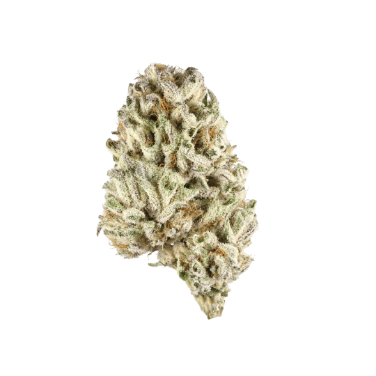 Yuru Cherry - Premium Sativa Cannabis for NYC Delivery