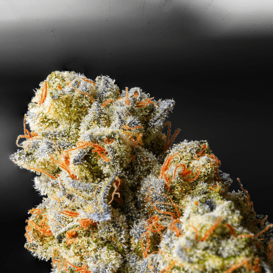 Sour Diesel - Premium Specials Cannabis for NYC Delivery