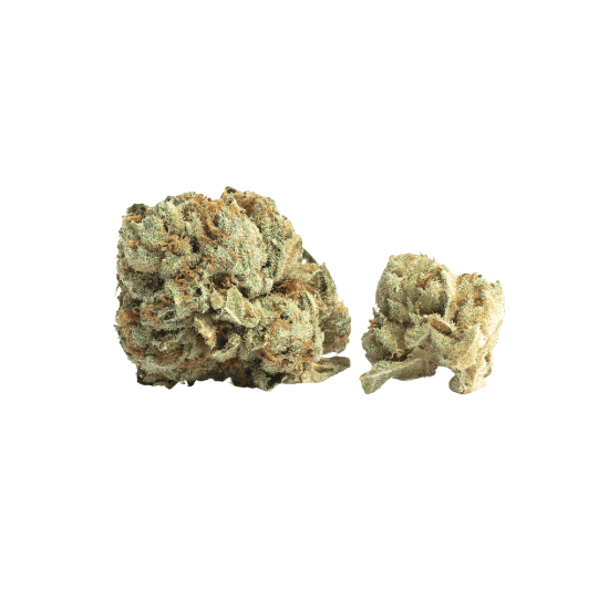 Alien Runtz - Premium Hybrid Cannabis for NYC Delivery