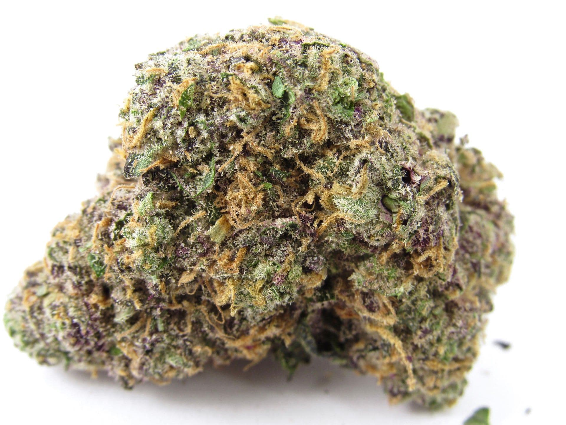 Black Zoup - Premium cannabis available for delivery in NYC