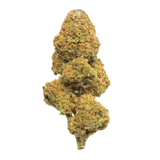 Jack The Ripper - Premium Sativa Cannabis for NYC Delivery
