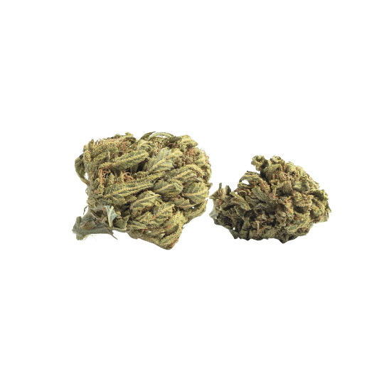 Jamaican Dream - Premium Sativa Cannabis for NYC Delivery