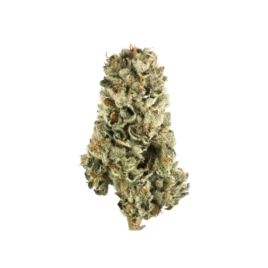 Fidel Runts - Premium Hybrid Cannabis for NYC Delivery