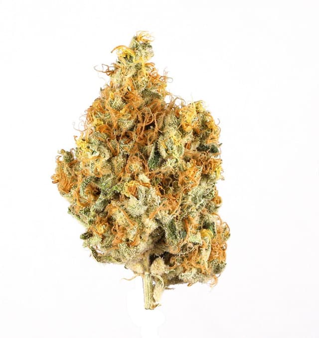 Pink Zuchi - Premium cannabis available for delivery in NYC