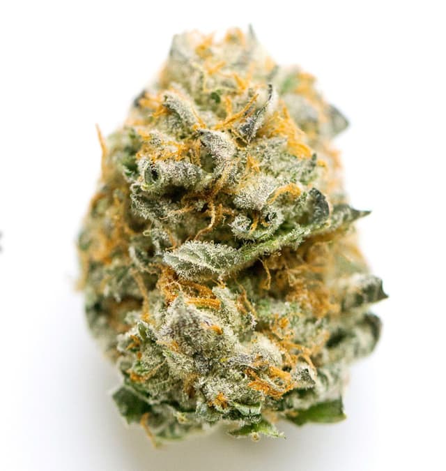 Primus - Premium cannabis available for delivery in NYC