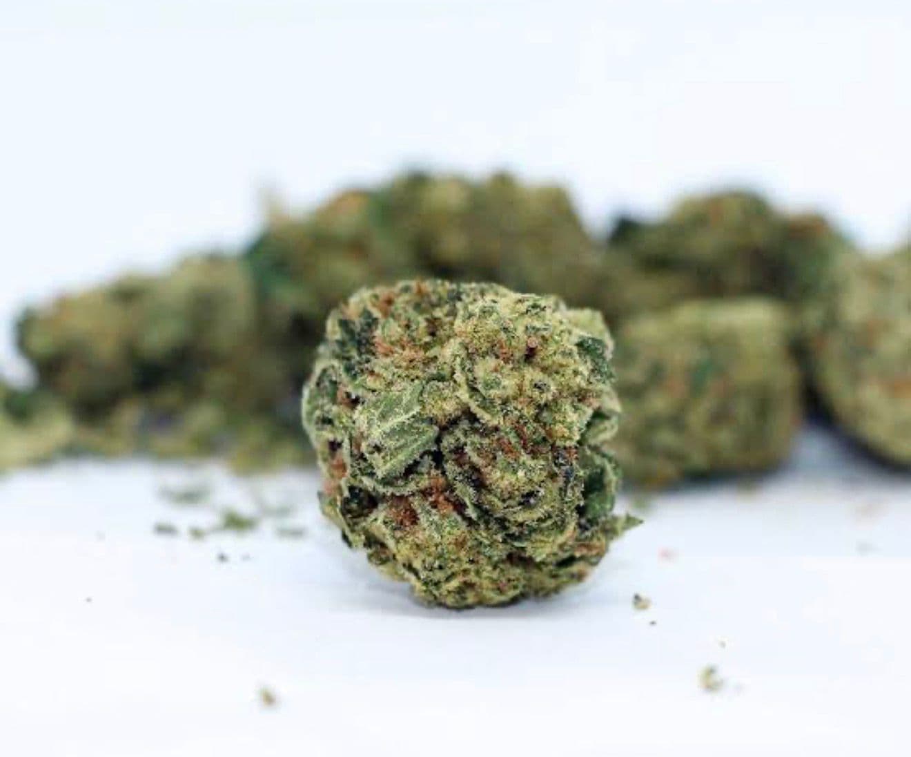 Route 66 - Premium Sativa Cannabis for NYC Delivery