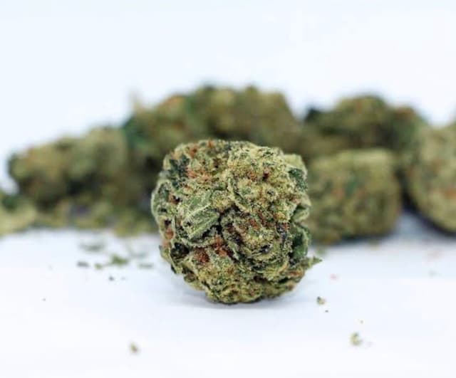 Route 66 - Premium cannabis available for delivery in NYC