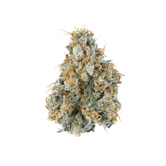Gary Payton - Premium Indica Cannabis for NYC Delivery
