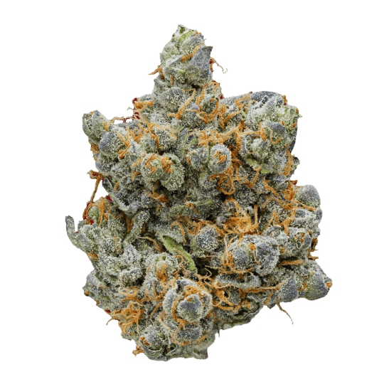 Z - Premium Indica Cannabis for NYC Delivery