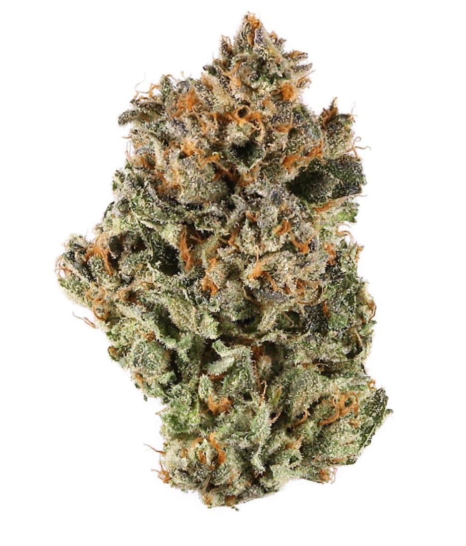 Sherbama - Premium Sativa Cannabis for NYC Delivery