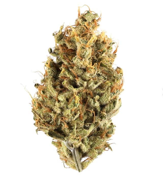 Hella Jelly - Premium cannabis available for delivery in NYC