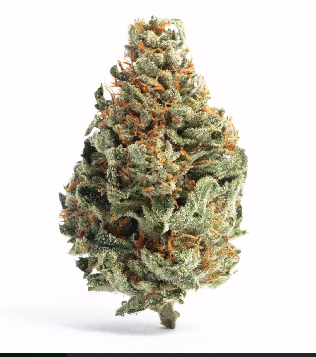 Candy OG - Premium Sativa Cannabis for NYC Delivery