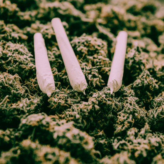 Pre-Rolls - Available for weed delivery in NYC