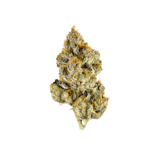 Lemon Cherry Gelato - Premium Sativa Cannabis for NYC & NJ Delivery
