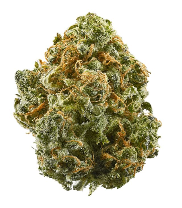 Gorilla Diesel - Premium cannabis available for delivery in NYC