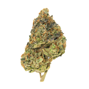 Jet Fuel Gelato Strain Weed Delivery NYC